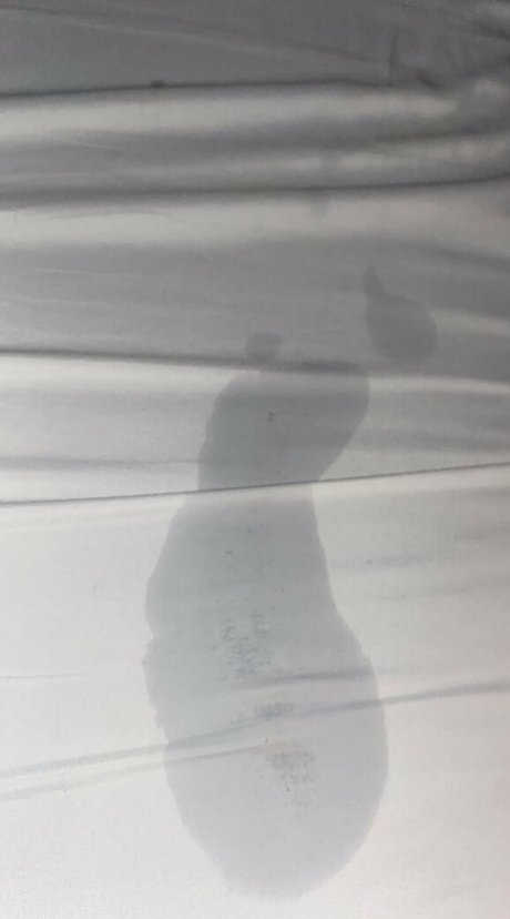 raelynnrose619 onlyfans leaked.