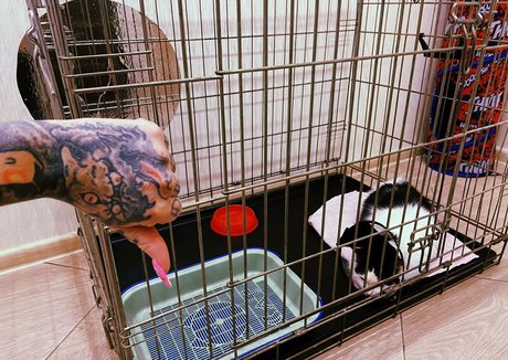 annabatman leaked onlyfans.