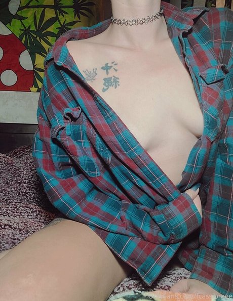 fcassibreee onlyfans leakes