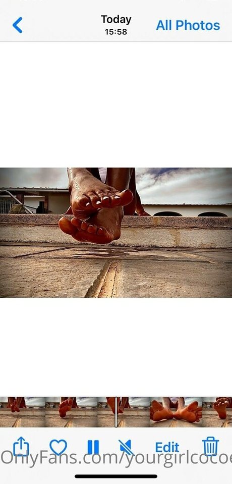 yourgirlcocoeast onlyfans archives