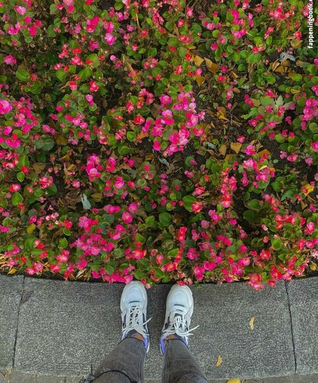 Giulia Daqna sexy pornstar gallery