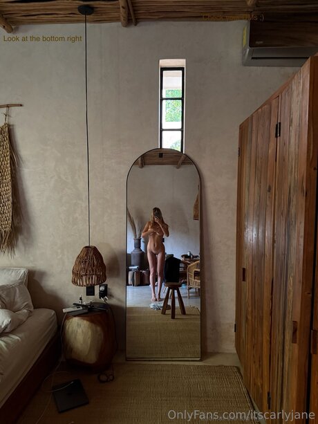 itscarlyjane pornstar art archive