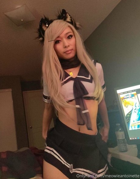 Meowieantoinette star high quality galleries