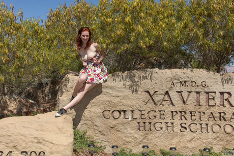 Dee Dee Lynn pornstar adult image