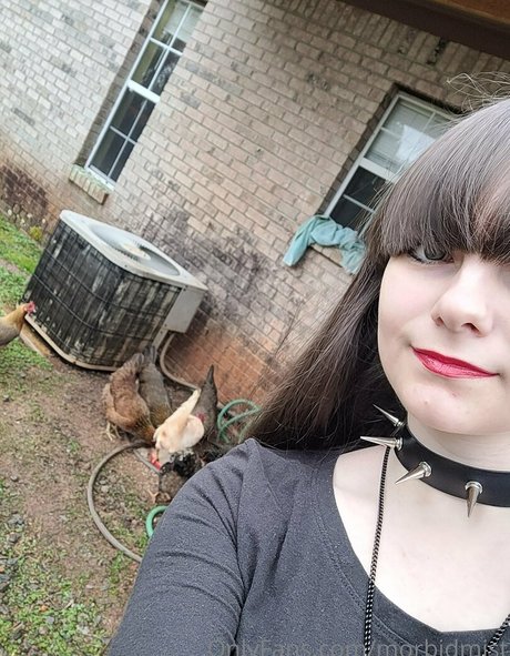 morbidmist porn star pictures