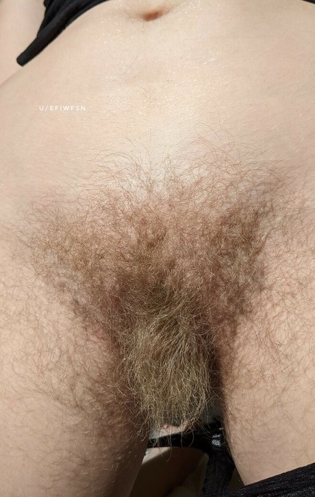 efiwfsn star free archive