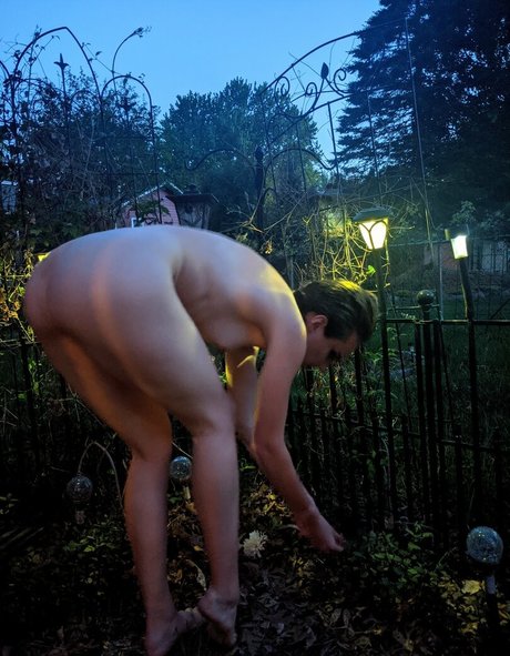 handsy bb star exclusive img