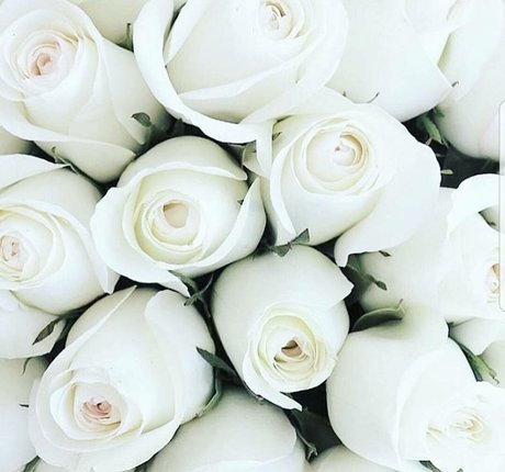 Herlinda Angel high quality pornstar img