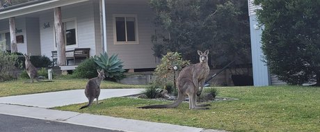 tammycheeks star sexy archive