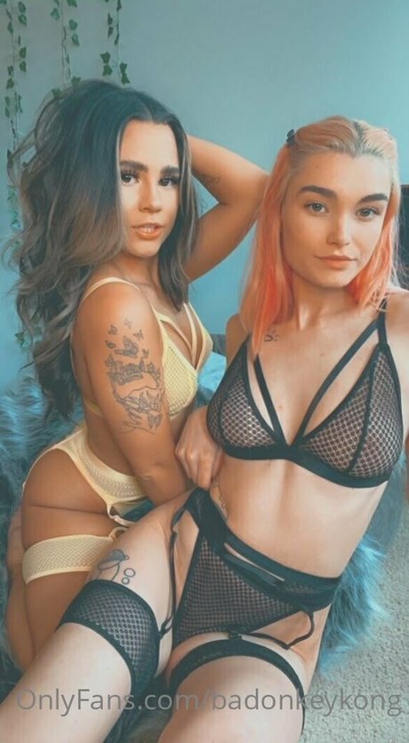 badonkeykong high quality star galleries