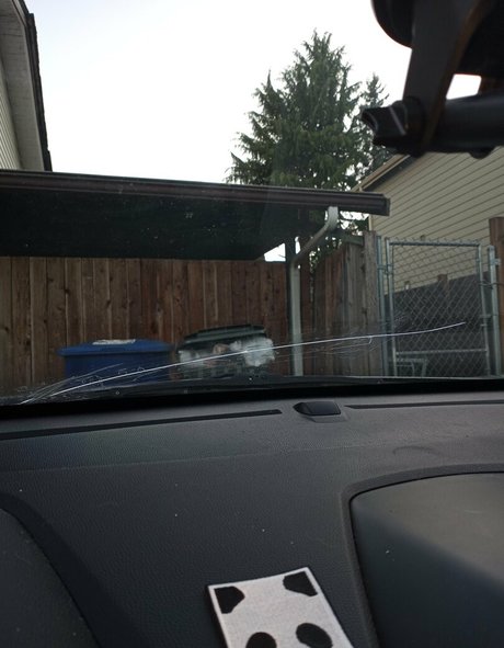 hotelbananamilk xxx pornstar gallery