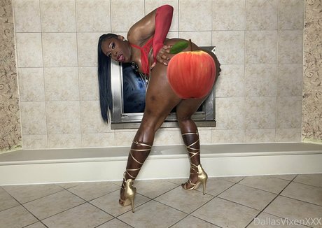 dallasvixenxxxfree pornstar art galleries