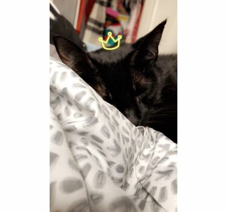 Charlotte Godoy sexy actress pic