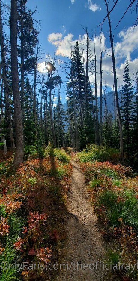 theofficialraybaby star porn image