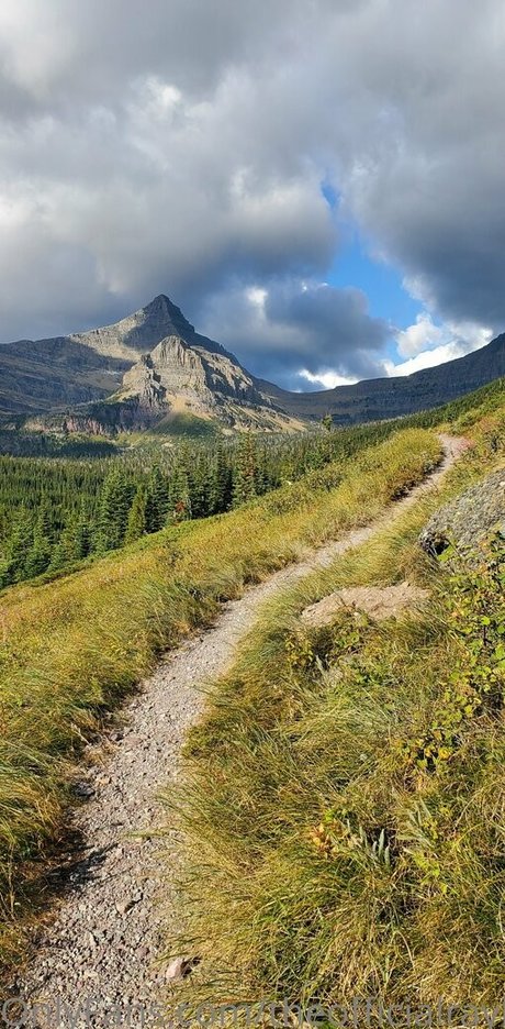 theofficialraybaby beautiful star pic