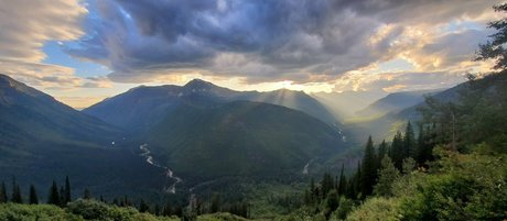 theofficialraybaby xxx star image