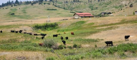 theofficialraybaby high quality model galleries