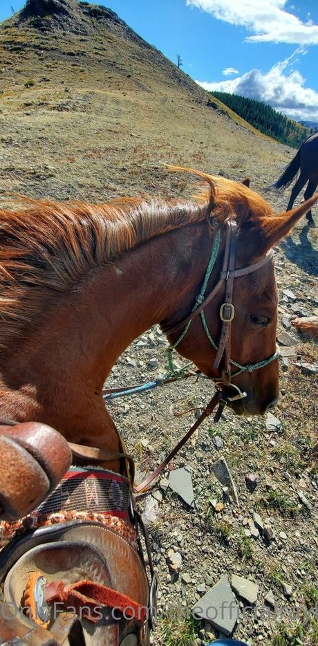 theofficialraybaby erotic star galleries