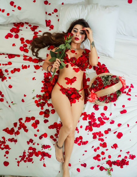 Ankita Dave high quality star photo