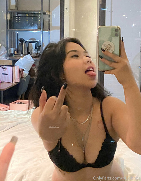 hukiehoe star high quality galleries