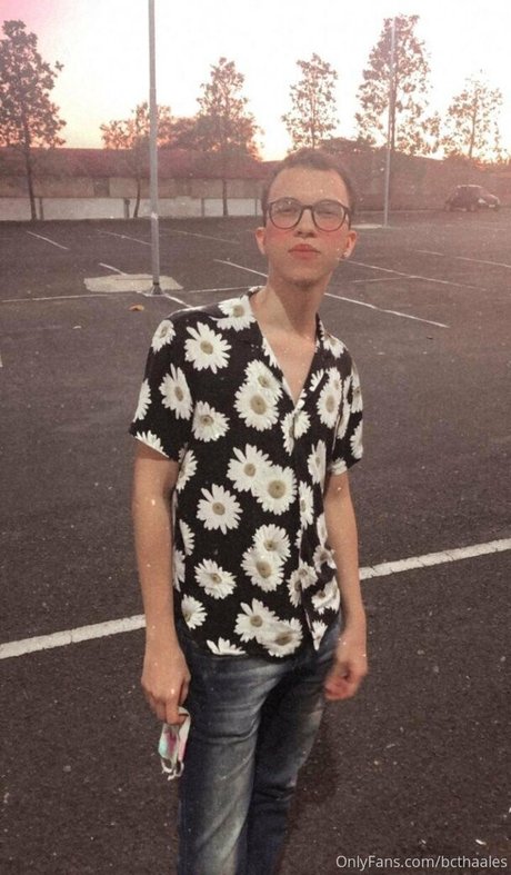 bcthaales high quality model img