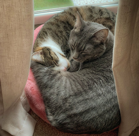 jadeleigh porn actress photos