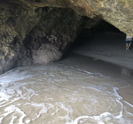 amandadivine pornographic model image