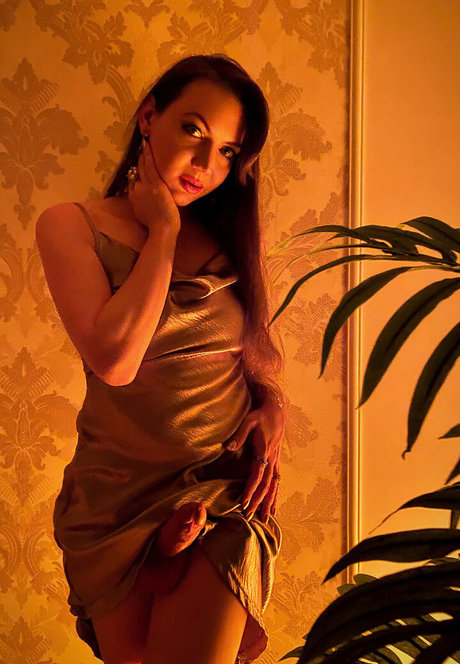 shemalekaterina star hot picture