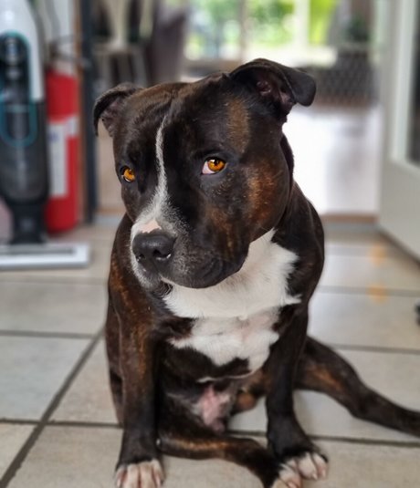 Christina Goldielocks model pornographic picture