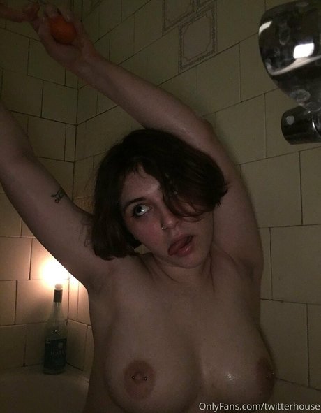 twitterhouse model best gallery