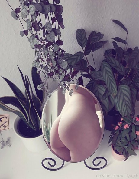 lillya cb pornstar top pictures