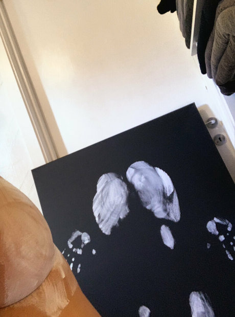 Imhauser_ star sexy img