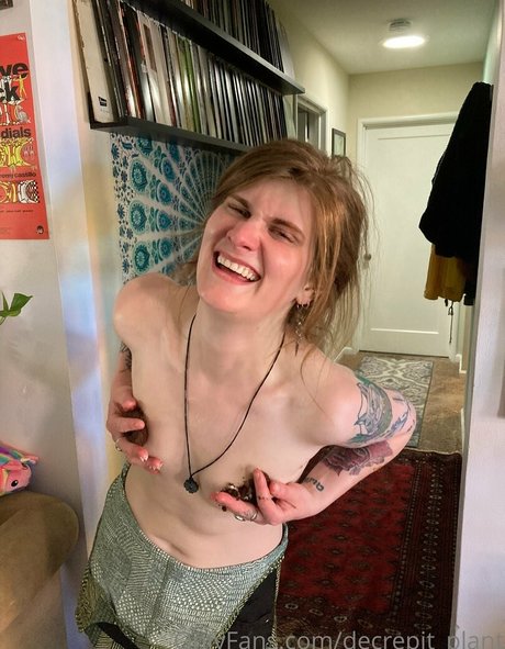 Decrepit plant pretty star images