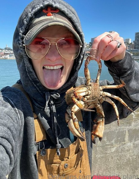 Decrepit plant nice star images