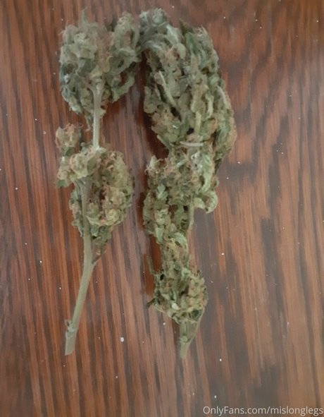 mislonglegs xxx star photos