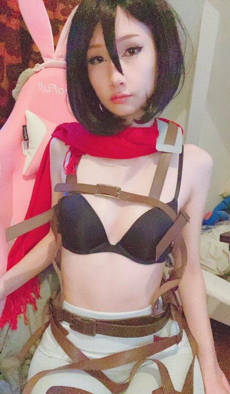 tanukiicos perfect star img