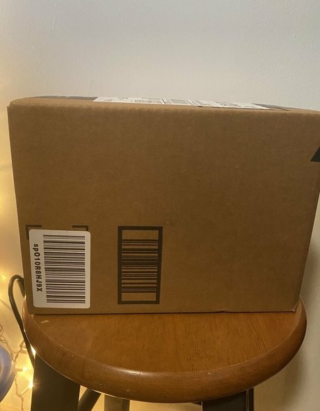 skarlett ivy free star picture