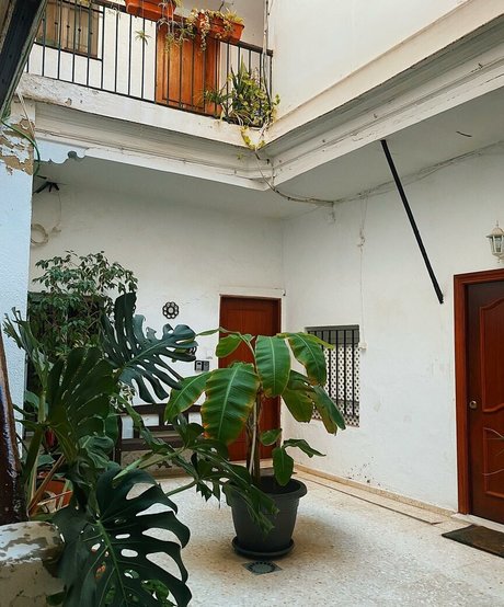 sports star onlyfans top archive