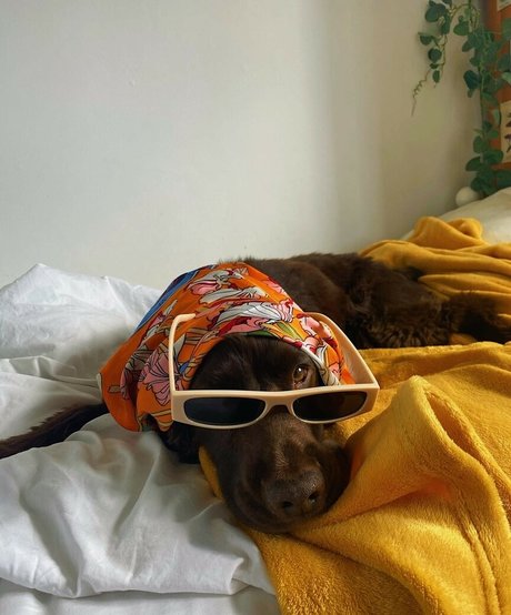 Helayna Birkett naked model pictures