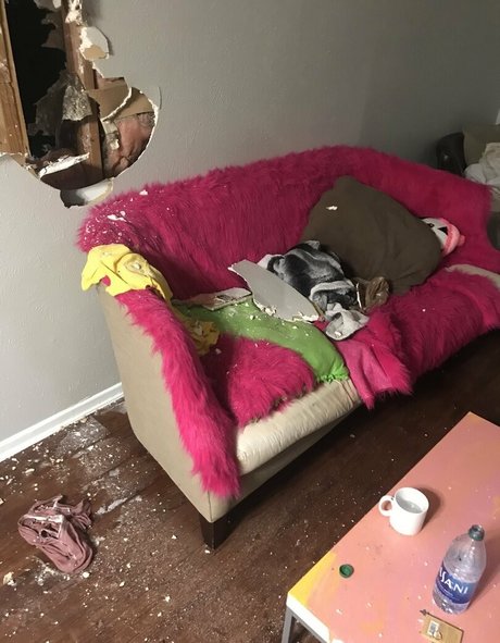 aj180 nudes pornstar pics