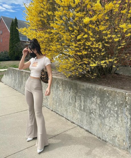 vivacious honey star best img