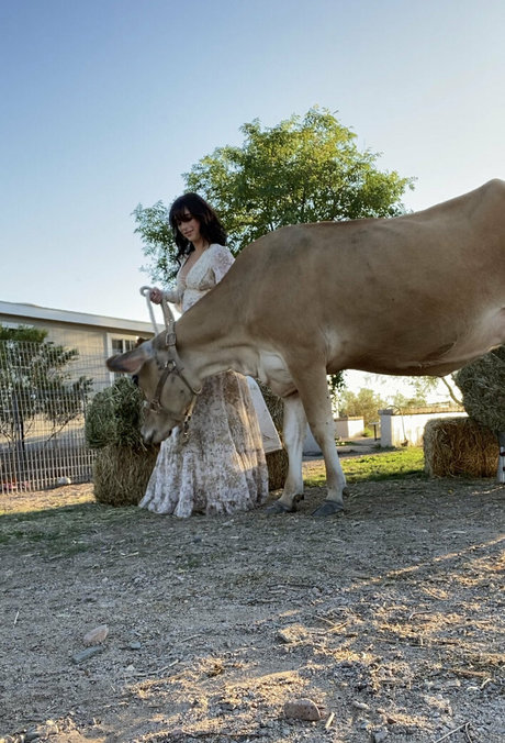 Reedsuicide model nice pictures