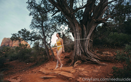 Reedsuicide model pornographic image