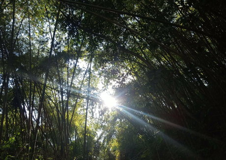 avliequeena nudes model pictures