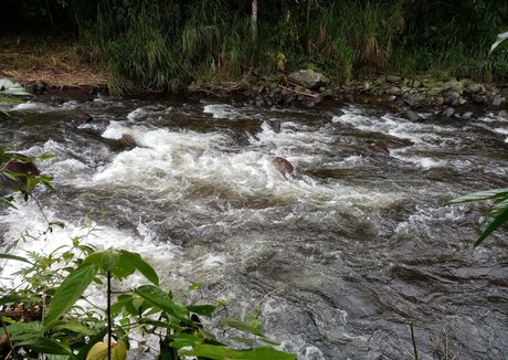 avliequeena nice actress pics