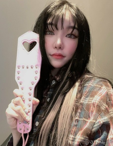 anad df nice star galleries