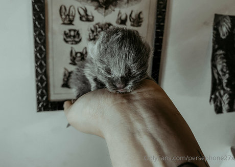 accidental creampie onlyfans hot sexy pic