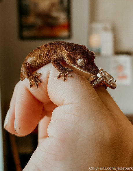 persephone27x porn actress img