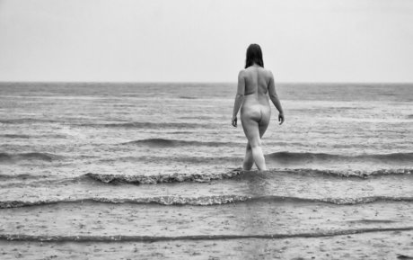 Cinnoman perfect star pic