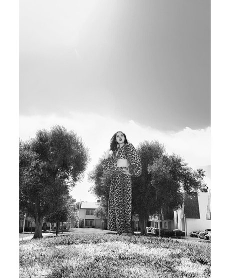 dandyindistress xxx actress galleries